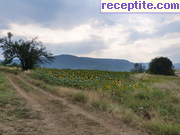 снимка 10945 към албум Пътувания