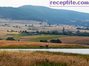 снимка 10943 към албум Пътувания