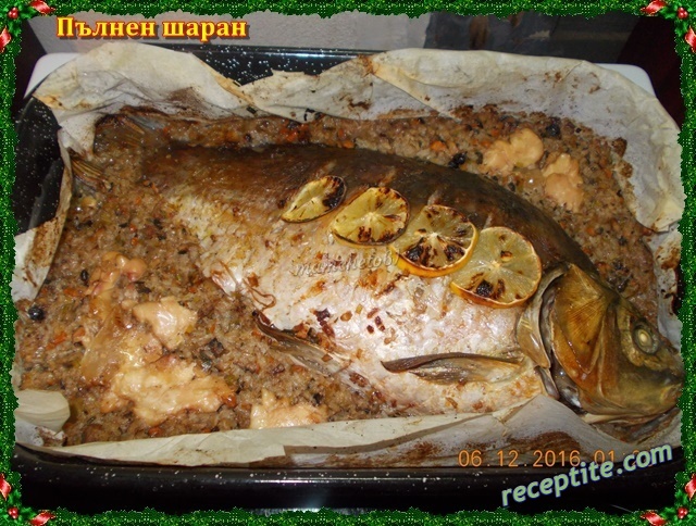 Снимки към Пълнен шаран Пеполина