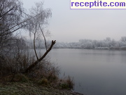снимка 11461 към албум Пътувания