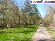 снимка 11480 към албум Пътувания