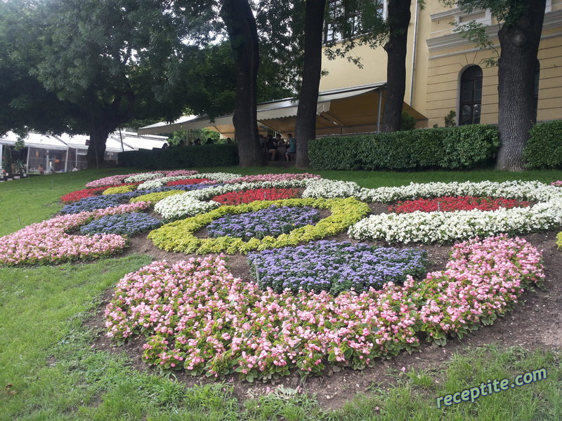 Снимки към Пътувания