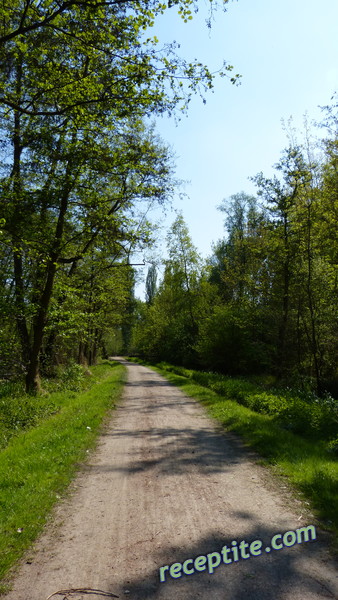 Снимки към Пътувания