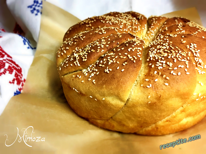 Снимки към Сръбска погачица