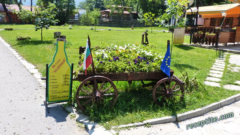 Снимки към Пътувания