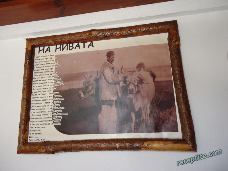 Снимки към Пътувания