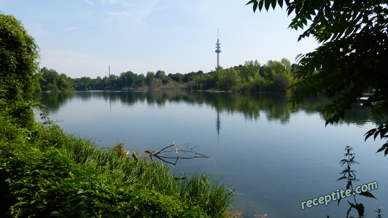 Снимки към Пътувания