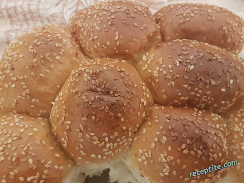 Снимки към Залчета