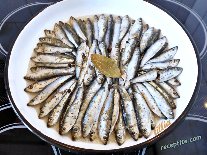 Снимки към Трицона или скумрия на фурна