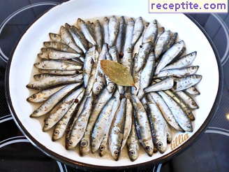виж снимката