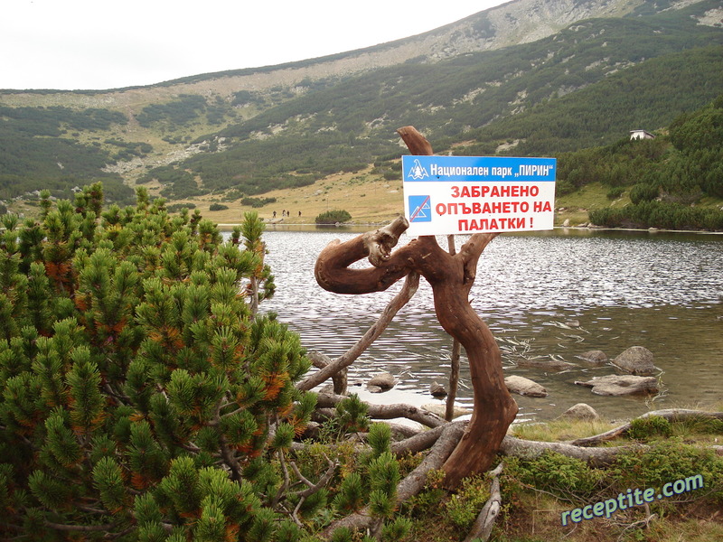 Снимки към Пътувания