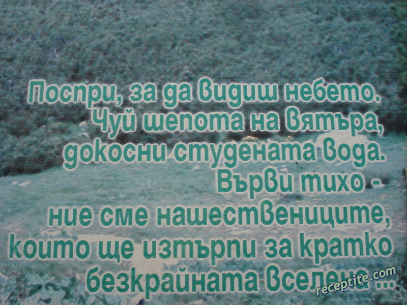 Снимки към Пътувания