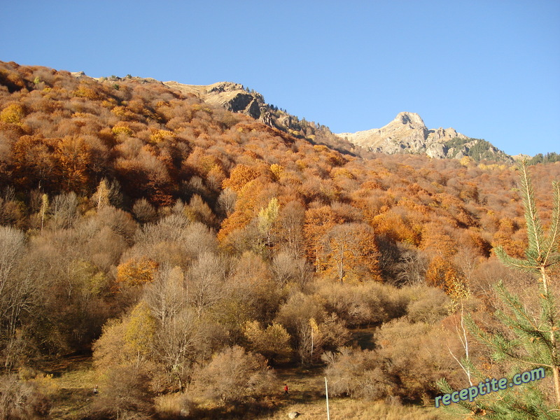 Снимки към Пътувания