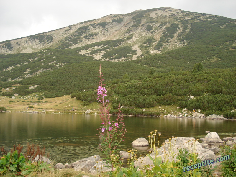 Снимки към Пътувания