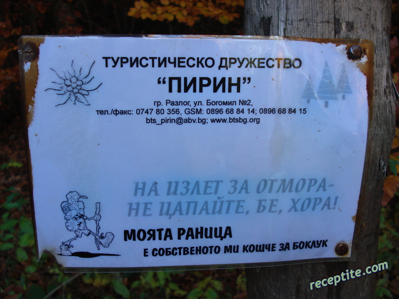 Снимки към Пътувания