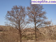 снимка 12590 към албум Пътувания