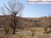 снимка 12588 към албум Пътувания