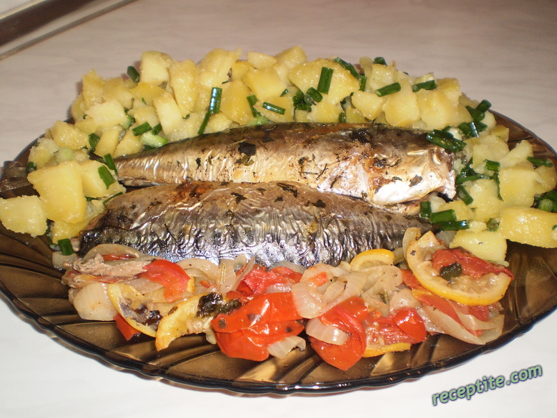 Снимки към Скумрия във фолио