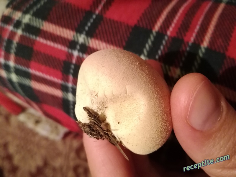 Снимки към Пържена пърхутка