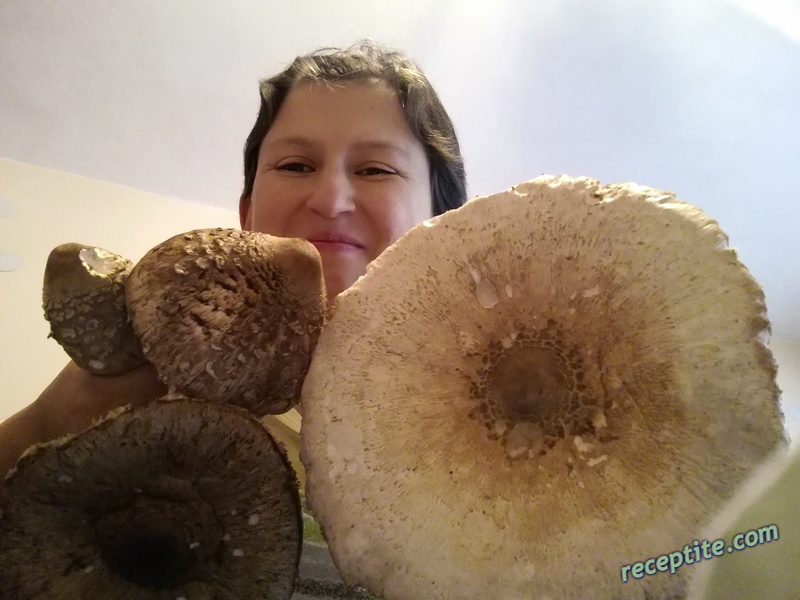 Снимки към Ориз с гъби асорти и телешки бульон