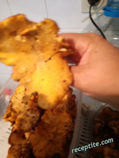 Снимки към Ароматна каша с пачи крак