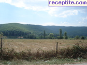 снимка 13768 към албум Пътувания