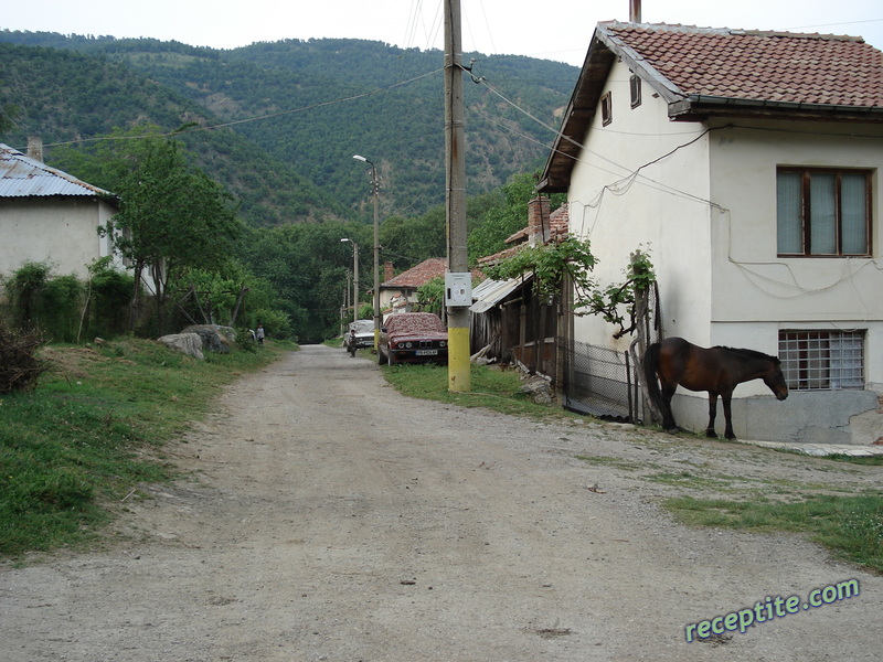 Снимки към Пътувания
