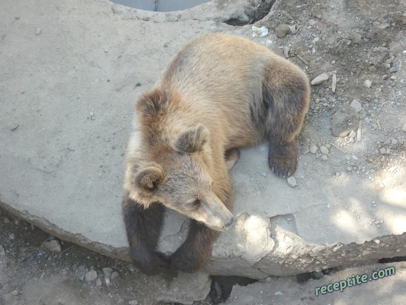 Снимки към Пътувания