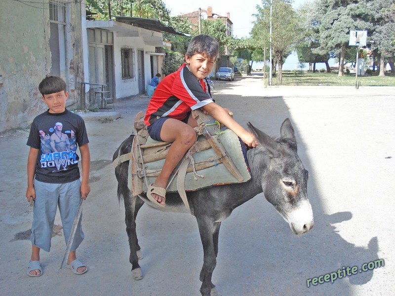 Снимки към Пътувания