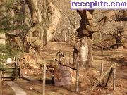 снимка 14405 към албум Пътувания
