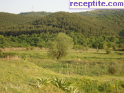 снимка 14049 към албум Пътувания