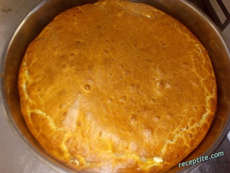 Снимки към Персийски тутманик