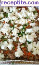 снимка 1 към рецепта Лазаня с патладжани и кайма