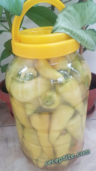 Снимки към Мариновани чушки сиврия