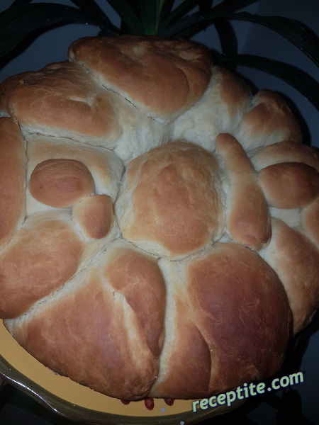 Снимки към Сръбска погачица