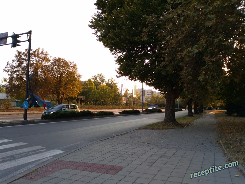 Снимки към Пътувания