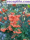 снимка 15417 към албум Пътувания
