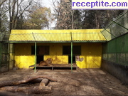 снимка 15273 към албум Пътувания