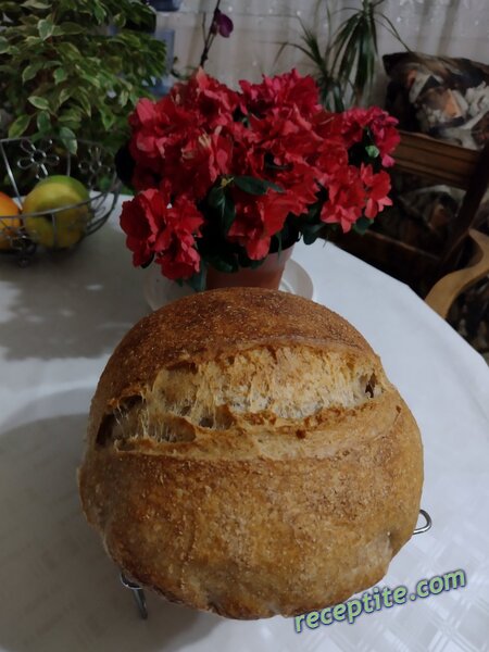Снимки към Тестени