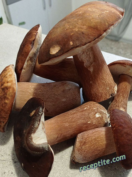 Снимки към Разни