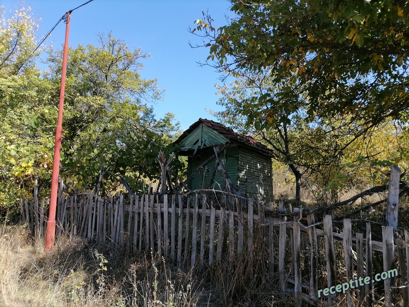 Снимки към Пътувания