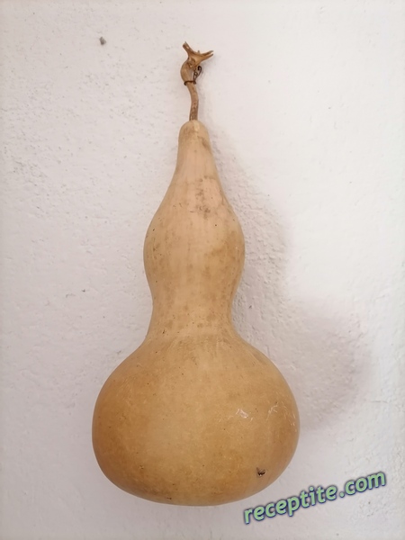 Снимки към Разни