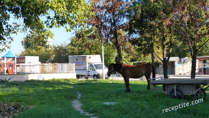 Снимки към Пътувания
