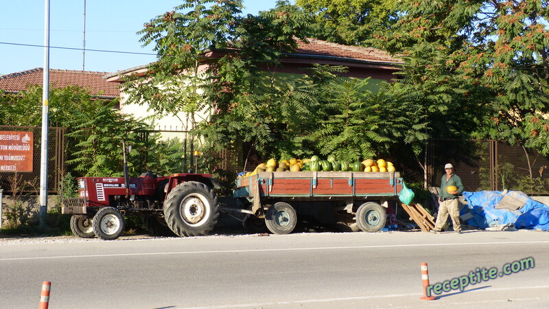 Снимки към Пътувания