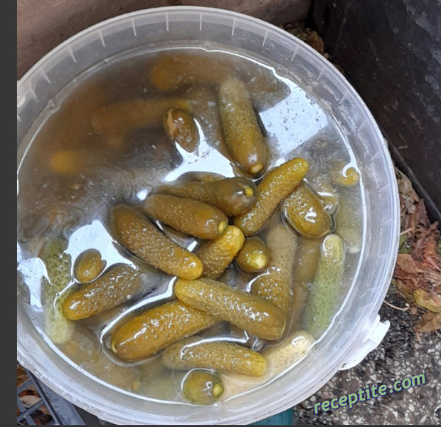Снимки към Сурова туршия