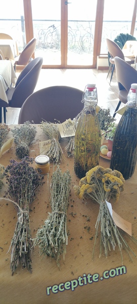 Снимки към Пътувания