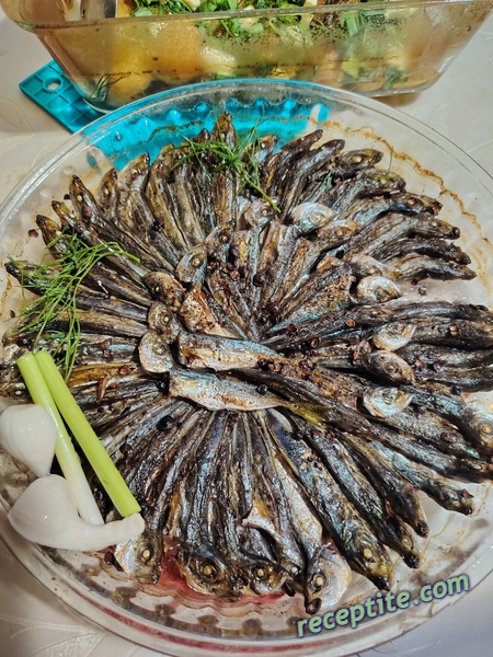 Снимки към Трицона или скумрия на фурна