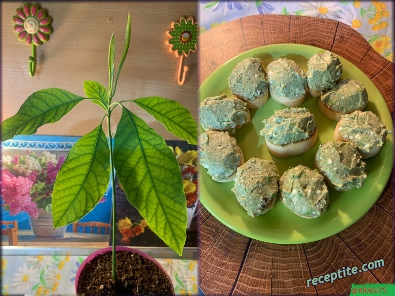 Снимки към Салати и предястия