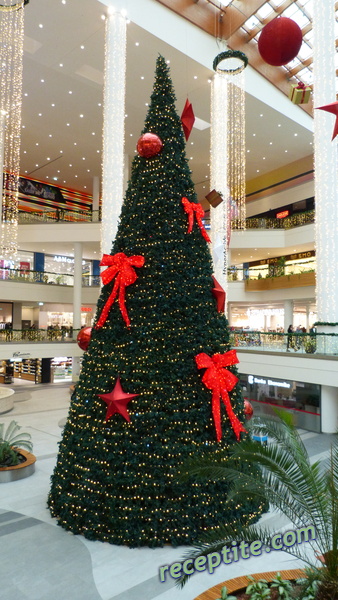 Снимки към Пътувания