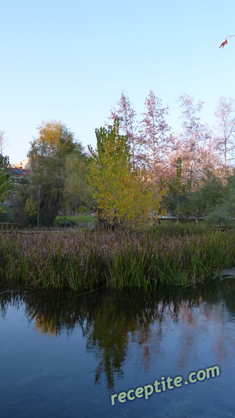 Снимки към Пътувания